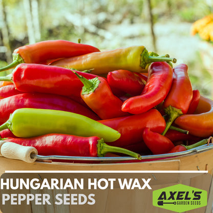 Hungarian Hot Wax Pepper Heirloom Non-Gmo Seeds