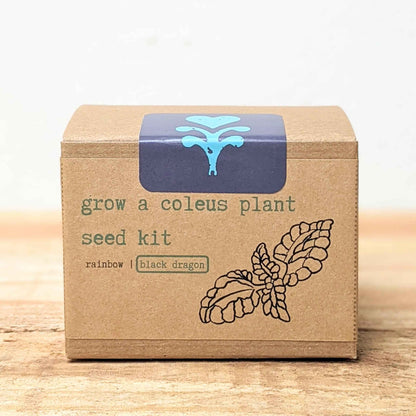 Grow a Coleus Seed Kit
