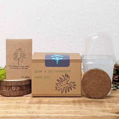 Grow a Philodendron Seed Kit