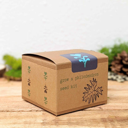 Grow a Philodendron Seed Kit