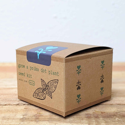 Grow a Polka Dot Seed Kit