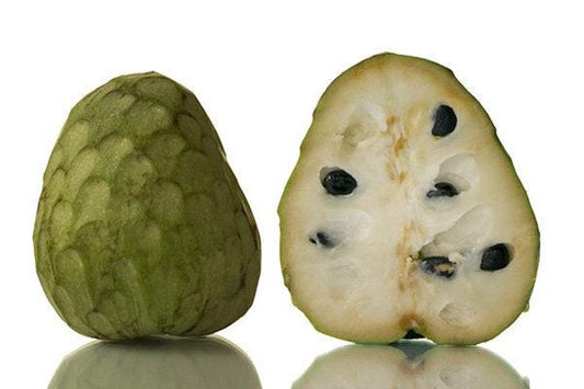 Bay Cherimoya Tree - 3 Gal Pot - Grafted - Sweet Fruit - Annona cherimola - Tropical Fruit Plant