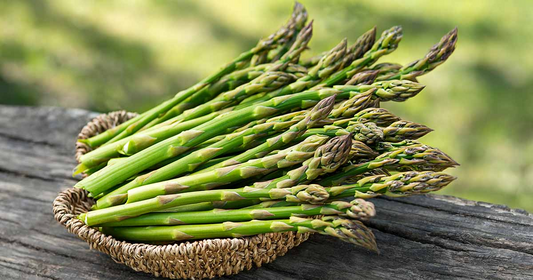 Bare Root Plants Millennium Live Asparagus, 2-Year Crowns, Asparagus officinalis, High Yield, Easy to Grow