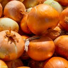 250 mg Seeds Onion Utah Yellow Sweet Spanish – Allium cepa | Heirloom Sweet Onion Seeds for Planting, Gardening & Cooking