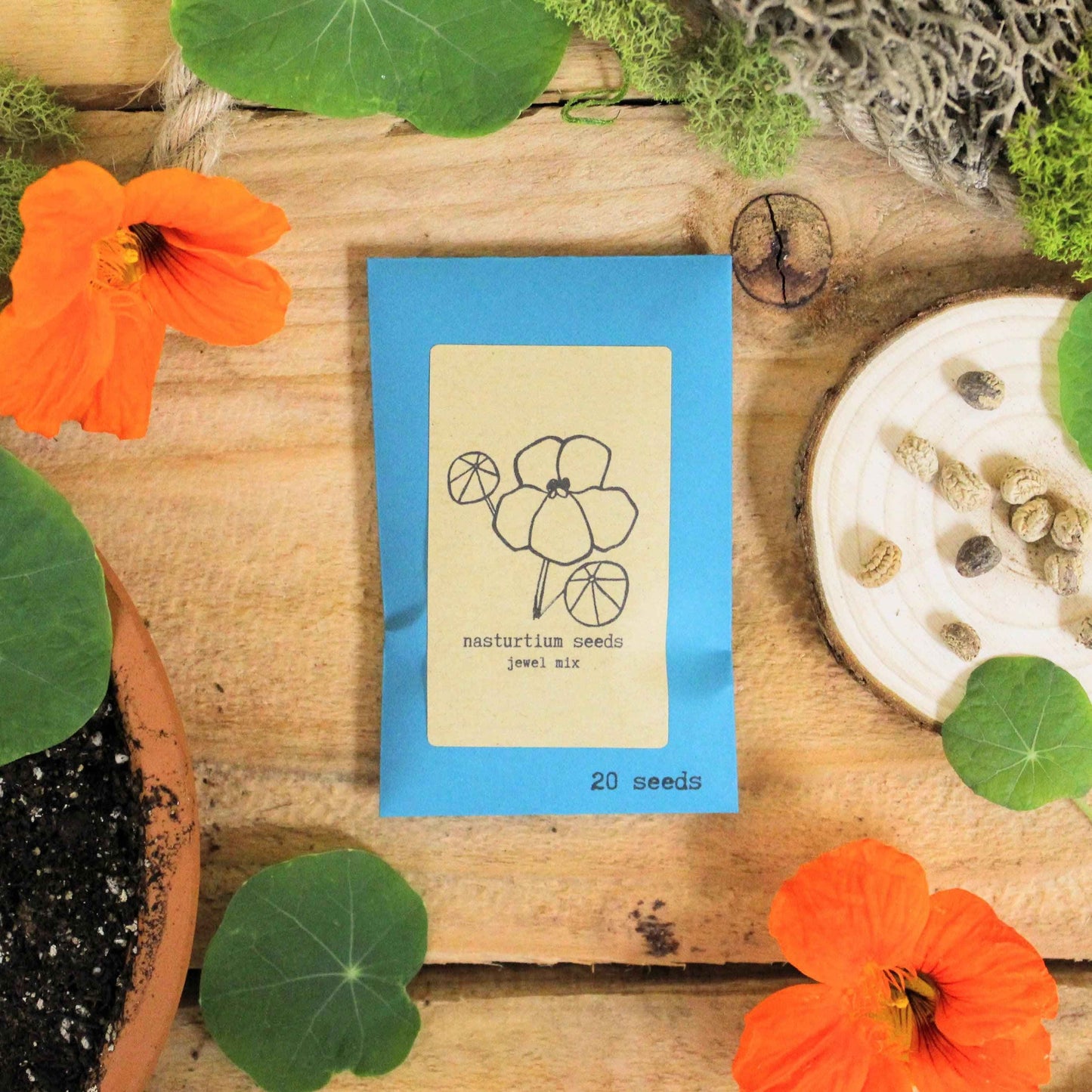 Nasturtium Seeds