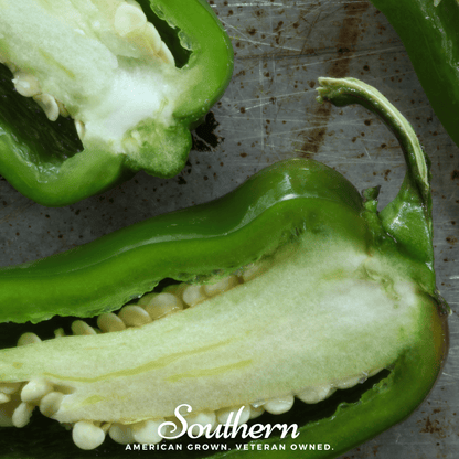 Jalapeño Early Pepper – 25 Seeds