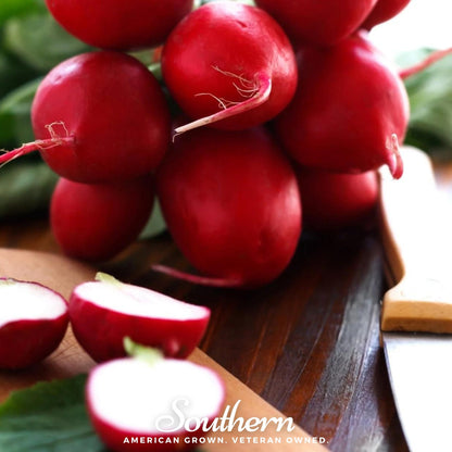 Crimson Giant Radish – 100 Seeds