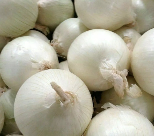 White Onion Seeds 250+ Sweet Spanish Allium Vegetable Garden Seed Pack
