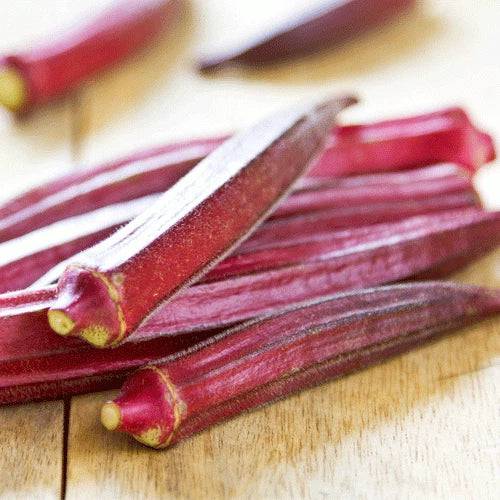 Red Burgundy Okra Seeds 50 Ct - Non-GMO Vegetable Garden Seeds - Abelmoschus esculentus - USA Seller - Free Shipping