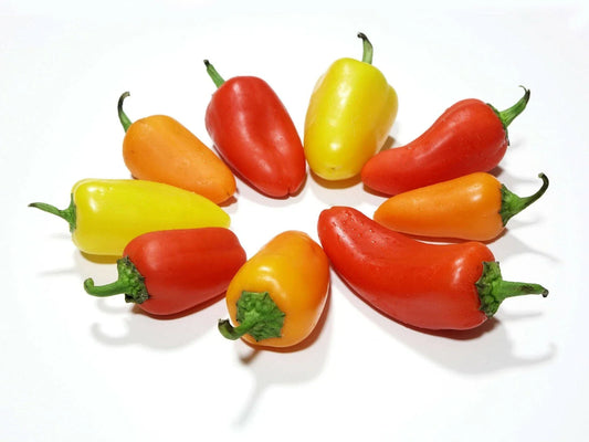 Santa Fe Grande Hot Pepper Seeds - Heirloom Variety for Spicy Flavor - Capsicum annuum