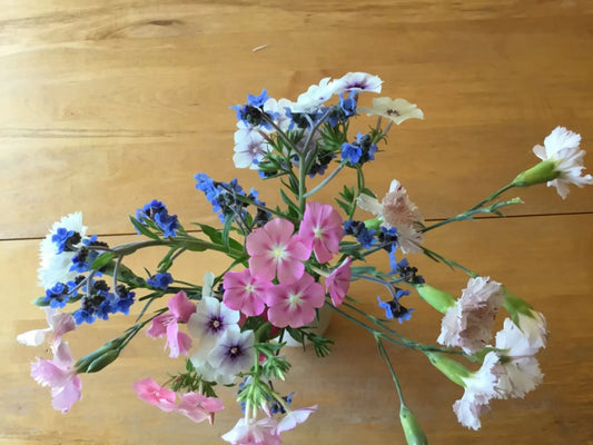 Cutting Flowers Bouquet Mix Seeds - Assorted Colors - Annuals & Perennials - Ideal for Gardens and Arrangements