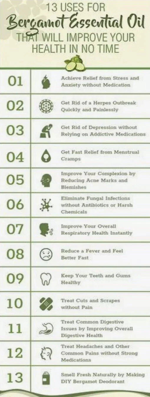 Wild Bergamot Seeds - 300 Bee Balm Seeds - Monarda fistulosa - Medicinal Herb for Gardens
