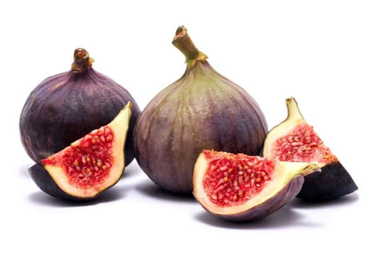 Texas Blue Giant Fig Seeds - 100+ Count - Ficus carica - Ideal for Garden Planting - USA Grown - Free Shipping