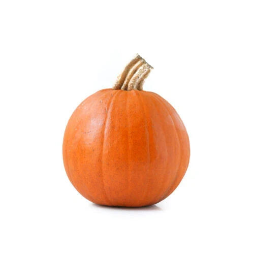 Sugar Pie Pumpkin Seeds - 25+ Count for Garden Planting - Cucurbita pepo - USA Grown