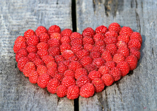 Red Raspberry 50 Seeds - High Germination Rate, Non-GMO - Rubus idaeus