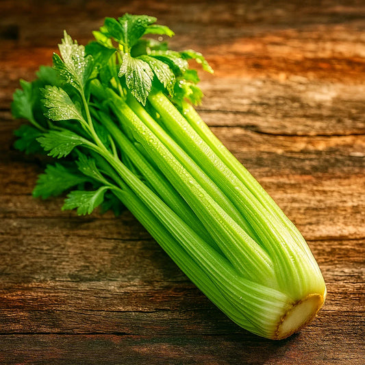 Tall Utah Celery Seeds - 3000+ Heirloom Non-GMO Crisp Stringless Seeds - Apium graveolens