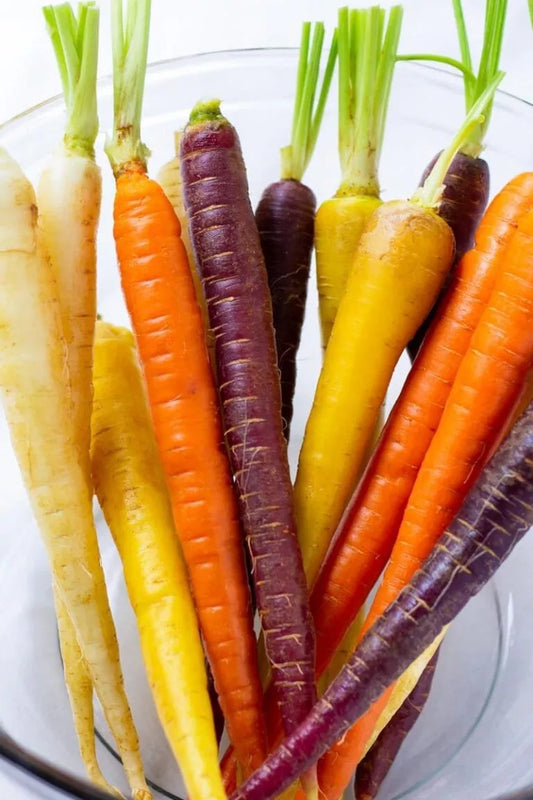 Rainbow Carrot Seeds | NON-GMO Heirloom Variety | Fresh Vegetable Seeds | Daucus carota