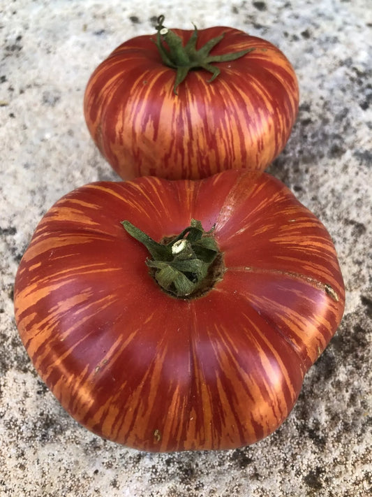 Vintage Wine Tomato Seeds - Rare Heirloom, NON-GMO, Potato Leaf Variety, Solanum lycopersicum - Free Shipping