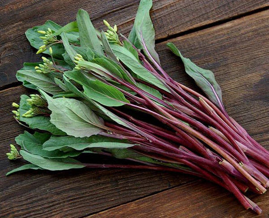 Purple Choy Sum Seeds - 200+ Heirloom Hon-Tsai Tai Kosaitai - Chinese Flowering Cabbage - Non-GMO, USA Grown