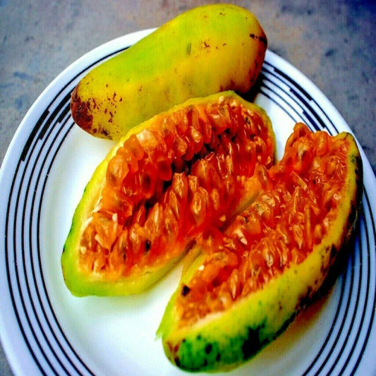 20 Banana Passionfruit Seeds, Rare Fast Flowering Vine, Passiflora Mollissima, Tropical Edible Fruit Seeds