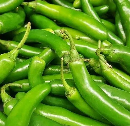 Serrano Pepper Seeds 50+ Hot Spicy Vegetable Culinary Salsa Capsicum annuum