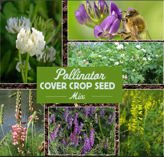 Landscaper's Pack Wildflower Seeds Bulk Pollinator Cover Crop 3600 Seeds - Ground Cover Blend for Bees and Butterflies