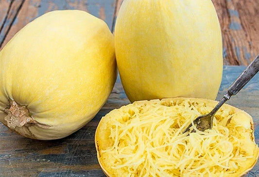 Spaghetti Squash Seeds - 5 Pack - Cucurbita pepo - Non-GMO Vegetable Seeds - Free USA Shipping