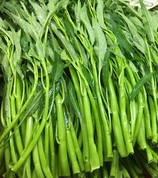 Thai Water Spinach Seeds - 50+ Ong Choy Kangkong - Edible Garden Vegetable - Ipomoea aquatica - Fast Growing USA