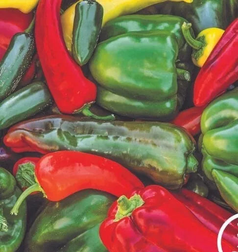 Sweet & Spicy Pepper Seeds - 25+ Variety Mix - Fresh Heirloom Seeds for Home Garden - Capsicum Annuum