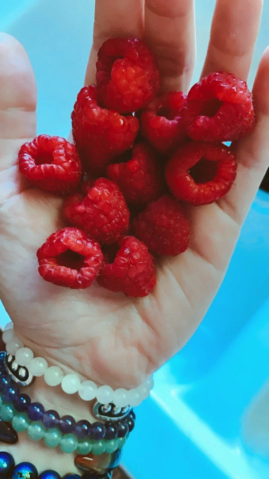 Red Raspberry Seeds - 200 Count - Edible Berry Garden Vine - Rubus idaeus - USA Homegrown Medicinal Plant