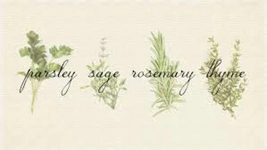 Culinary Herb Seed Set | Parsley, Sage, Rosemary, Thyme | Gift Pack | Garden Seeds