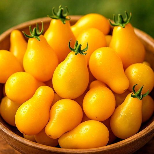 Yellow Pear Tomato Seeds - 30+ Heirloom Non-GMO, Sweet Low-Acid Variety, Perfect for Home Gardens - Solanum lycopersicum
