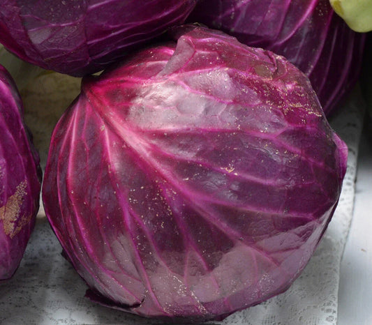 Red Acre Cabbage Seeds, Non-GMO, Coleslaw Variety, Multiple Sizes, Brassica oleracea