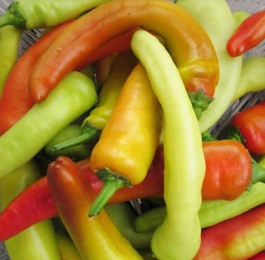Hungarian Wax Hot Pepper Seeds - 400 Non-GMO Heirloom Hot Banana Pepper Seeds - Capsicum annuum
