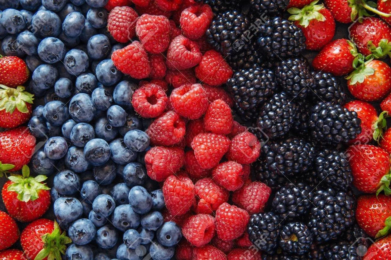 Berry Seed Set - Strawberry, Blueberry, Blackberry, Raspberry - Gift Package - Perfect for Home Gardening