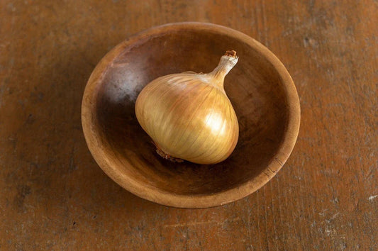 Walla Walla Sweet Onion Seeds - 500+ Count - Heirloom Variety - Allium cepa - USA Grown - Free Shipping