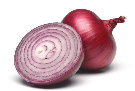 Red Burgundy Onion Seeds - 200+ Count - Allium cepa - Fresh Garden Vegetable - USA Grown