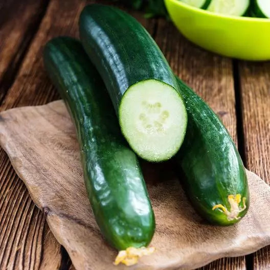 Tendergreen Burpless Cucumber Seeds - Non-GMO Heirloom - 35 Seeds - Cucumis sativus