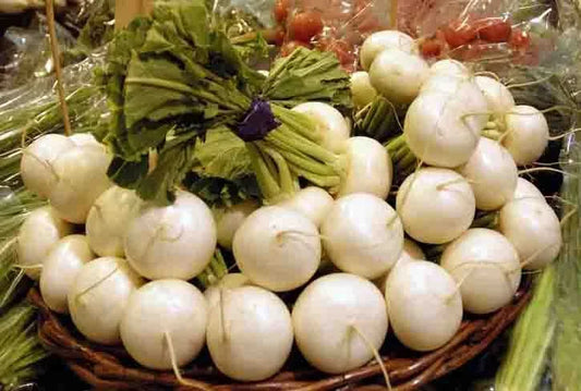 Radish Seeds - Hailstone Variety - 100 Seeds - Healthful - Raphanus sativus