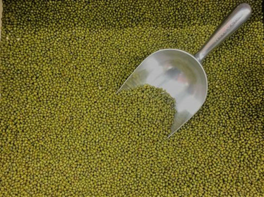 Mung Bean Seeds 250+ Sprouting Microgreens for Gardening - Edible Plant Seeds (Vigna radiata)