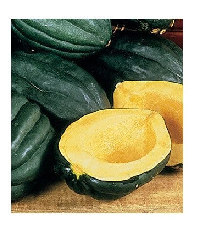 Table Queen Acorn Squash Seeds - 10-40 Heirloom Bush Variety for Beautiful Winter Gardens - Cucurbita pepo