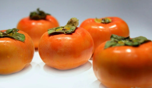 Live Fuyu Persimmon Tree Sapling 6" to 1 FT - Diospyros Kaki Fruit Seedling - Hardy Fruit Tree for Home Garden