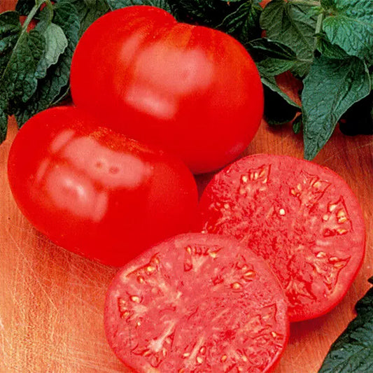 Tomato Seeds - 35 Seeds - Watermelon Beefsteak - Solanum lycopersicum - 1-2 lb Fruit - GroCo USA