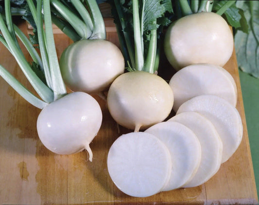 Turnip Seeds 600 Count - Heirloom, Non-GMO Seven Top (Brassica rapa) - USA Grown