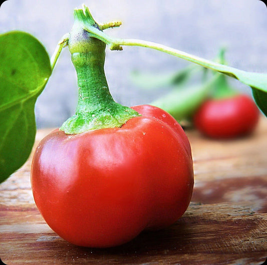 Large Red Cherry Hot Pepper Seeds - Spicy Variety 3,000-5,000 Scoville - Capsicum annuum