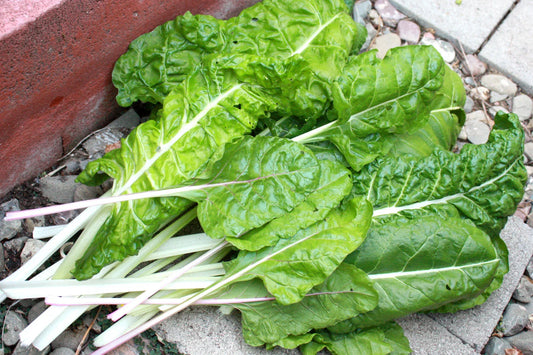 Swiss Chard Seeds - Fordhook Swiss Chard - 105 Seeds for Fresh Salad Greens - GroCo