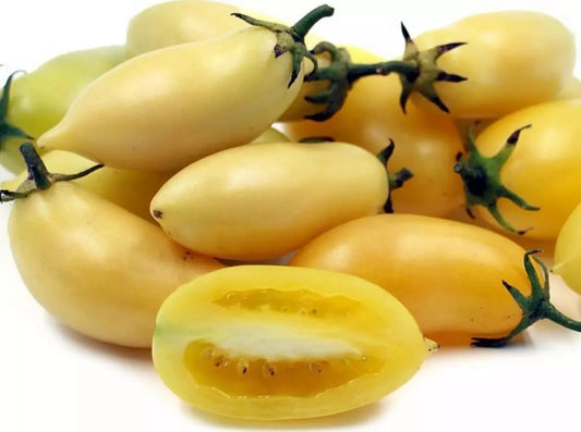 Cream Sausage Tomato Seeds - Heirloom Organic Non-GMO - 120+ Rare Seeds for Gardening (Solanum lycopersicum)