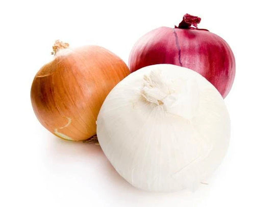 Onion Seeds Assortment - 300 Seeds - Sweet Variety - Healthful - Allium cepa