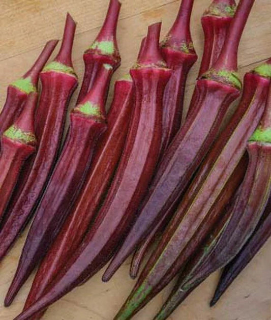 Okra Seeds Red Burgundy AAS Winner 55 Seeds Edible Flowers & Fruit 6-8" Pods Jambalaya