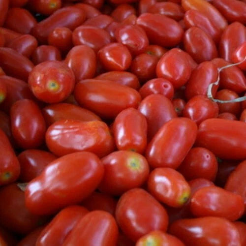 San Marzano Tomato Seeds | Heirloom Non-GMO Variety | Determinate | Solanum lycopersicum